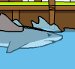 Online hra: Miami Shark
